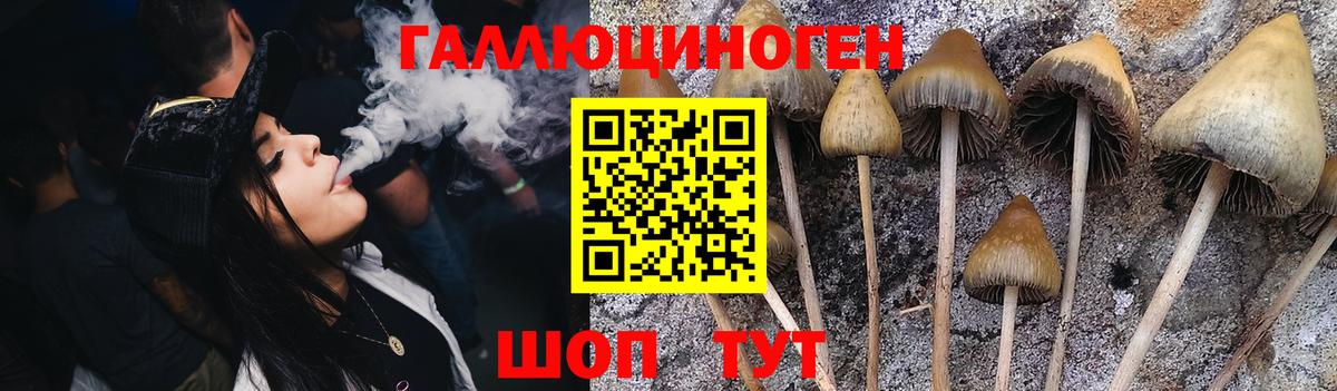 Галлюциногенные грибы Cubensis  Вход с VPN  Псилоцибиновые грибы Magic Shrooms  Новотроицк 